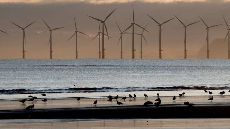 An offshore wind farm, pictured off Hartlepool in 2019. Record levels of wind power were generated on Monday, figures show