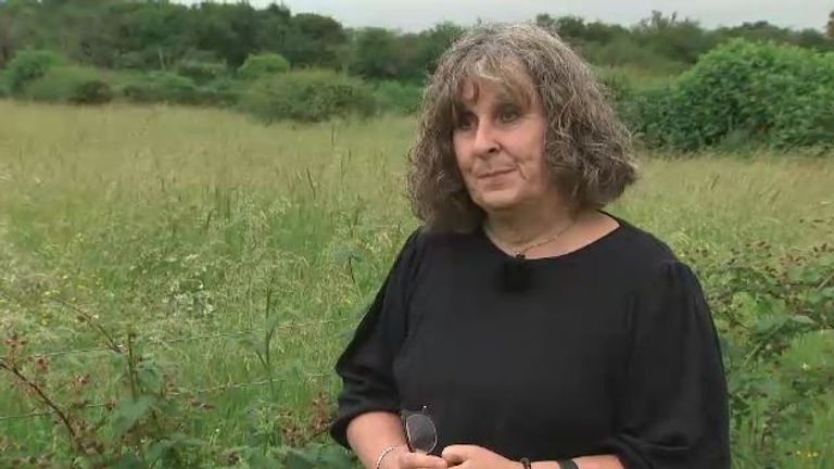 Susan Jamson's home in Hazlemere overlooks land that was designated green belt separating her village from the neighbouring Holmer Green.