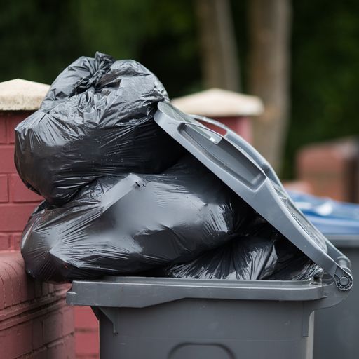 Bins left uncollected after HGV driver shortage hits councils