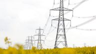 Illustative image of electricity pylons. (Newscast Limited via AP Images)


