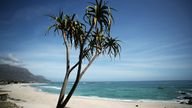 An aloe stands over Camps Bay beach, normally popular with foreign tourists, in Cape Town, South Africa