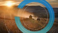 Wheat being harvested on the South Downs at sunset, England, UK