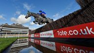 A horse jumps a fence at Newbury. Pic: Tote