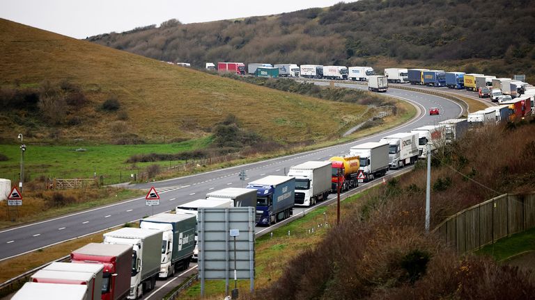 Freight lorries are seen queuing on A20 road into the Port of Dover, in Dover, Britain December 16, 2021. REUTERS/Henry Nicholls.