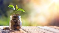 Plant Growing In Savings Coins -