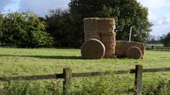 A stack of hay bales shaped as a tractor is seen in a field near Downham Market in Norfolk, in eastern England, October 20, 2016. Photograph taken on October 20. REUTERS/Toby Melville
