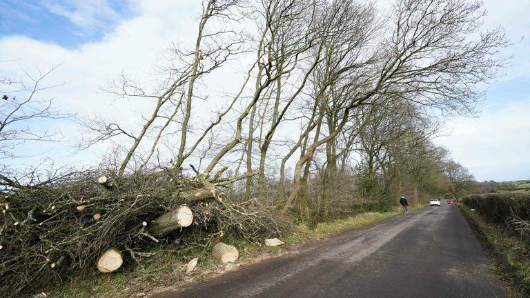 Fallen trees are seen on a road in Little Hay, north Birmingham, as Storm Dudley hits many areas across the UK. Storm Dudley is to be closely followed by Storm Eunice, which will bring strong winds and the possibility of snow on Friday. Picture date: Wednesday February 16, 2022.
