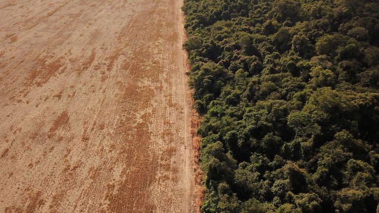 FILE PHOTO: An aerial view shows deforestation near a forest on the border between Amazonia and Cerrado in Nova Xavantina, Mato Grosso state, Brazil July 28, 2021. Picture taken July 28, 2021 with a drone. REUTERS/Amanda Perobelli/File Photo