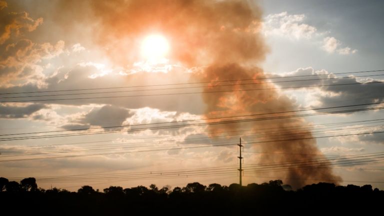 Bolsonaro's government has allowed and even encouraged deforestation at times