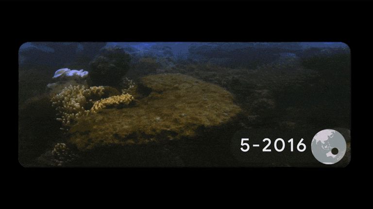 Coral bleaching on Lizard Island, Australia. Images taken each month from March to May 2016
