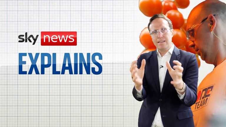 From salt to fibreglass to tomatoes, Economics and Data Editor Ed Conway takes a deep dive into inflation – explaining why rising energy costs are impacting everyday living so much. 