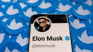 Elon Musk's Twitter profile