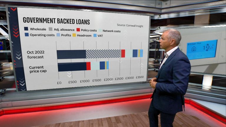 Cost of living crisis: Energy price caps explained