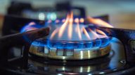 Blue flames on gas stove burner.