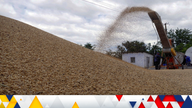 Workers storage grain at a terminal during barley harvesting in Odesa region, as Russia's attack on Ukraine continues, Ukraine June 23, 2022. REUTERS/Igor Tkachenko