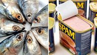 Fish heads and open Can of spam 