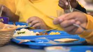 Some 1.8 million children face poorer quality school meals as a result of the rising cost of food, according to research from a school caterers survey.