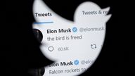 Elon Musk's tweet reading 