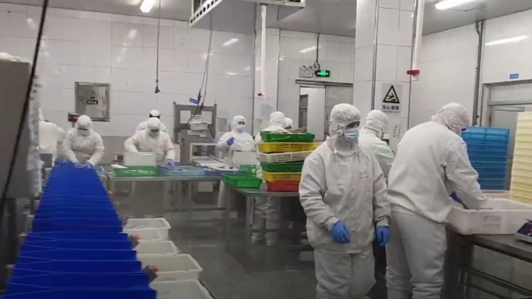 Workers inside the Yantai Sanko Fisheries plant in Shandong province. Pic: Douyin
