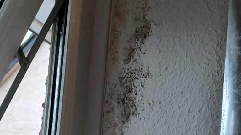 Mouldy window