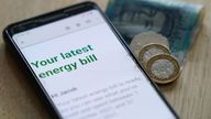 An online energy bill