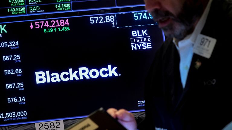 BlackRock's Bitcoin ETF has led the charge. Pic: Reuters