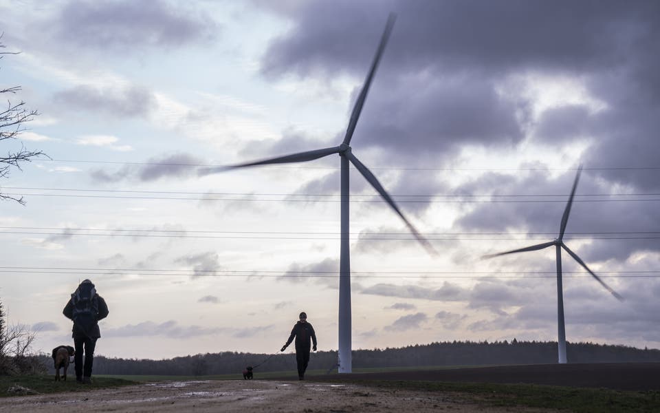 100% of energy from renewables ‘essential’ for the planet, Greens say