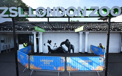 Banksy unveils ninth animal artwork at London Zoo