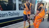 Network Rail teams remove Solomon, an escaped tortoise, from a South Western Railway train in Ascot. Pic: X / Network Rail Wessex