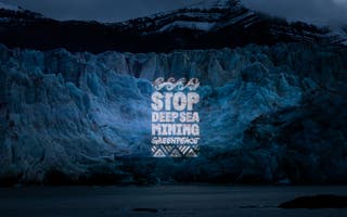 Arctic seabed mining will cause ‘irreversible harm’ to wildlife – Greenpeace