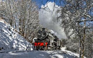 Save £20 per person on autumn and Christmas days out by steam