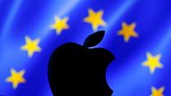 The European Commission has labelled Apple's operations in Ireland a 