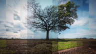 Sky filmed the Bowers and their farm through the seasons