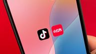 US TikTok users are flooding Chinese social media app RedNote ahead of the looming TikTok ban