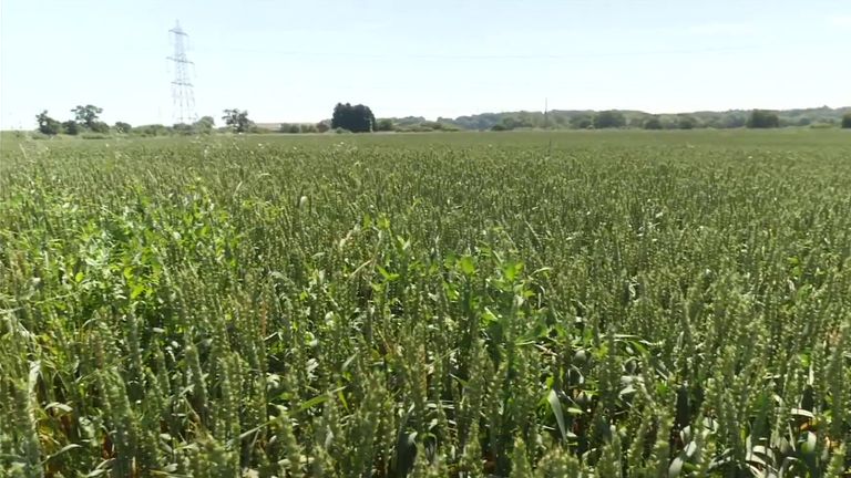 Green Belt land in Oxford